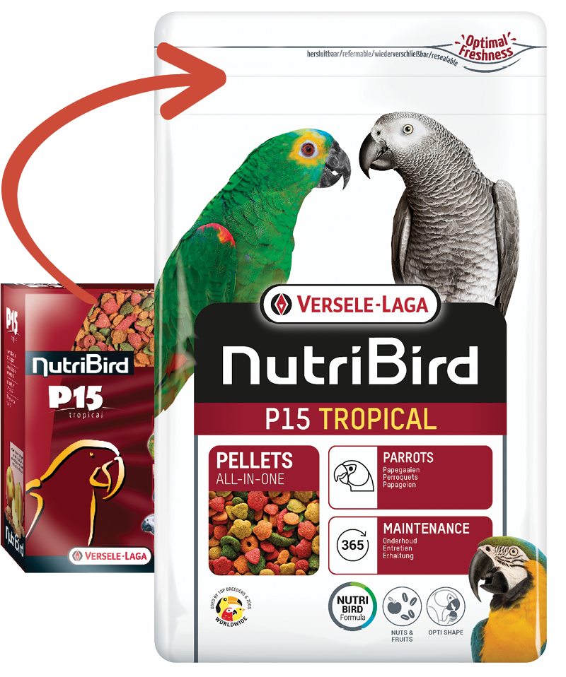 כופתיות P 15 פירות 1 ק"ג צבעוני Nutri bird Tropical