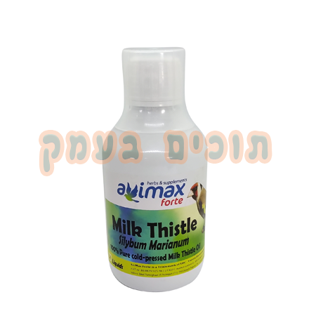 אווי מקס שמן טיזל גדילן – AviMax Milk Thistle Oil