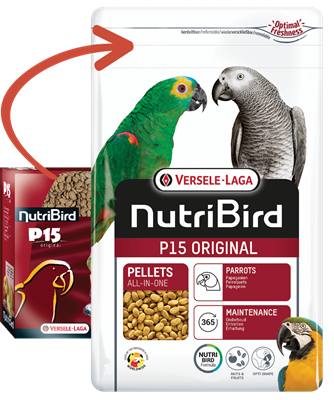 nutri bird versele laga p-15 כופתיות טבעי 1 ק"ג