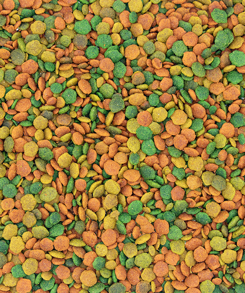 nutribird g14 tropical 1kg נוטריברד פירות ציבעוני – תמונה 3