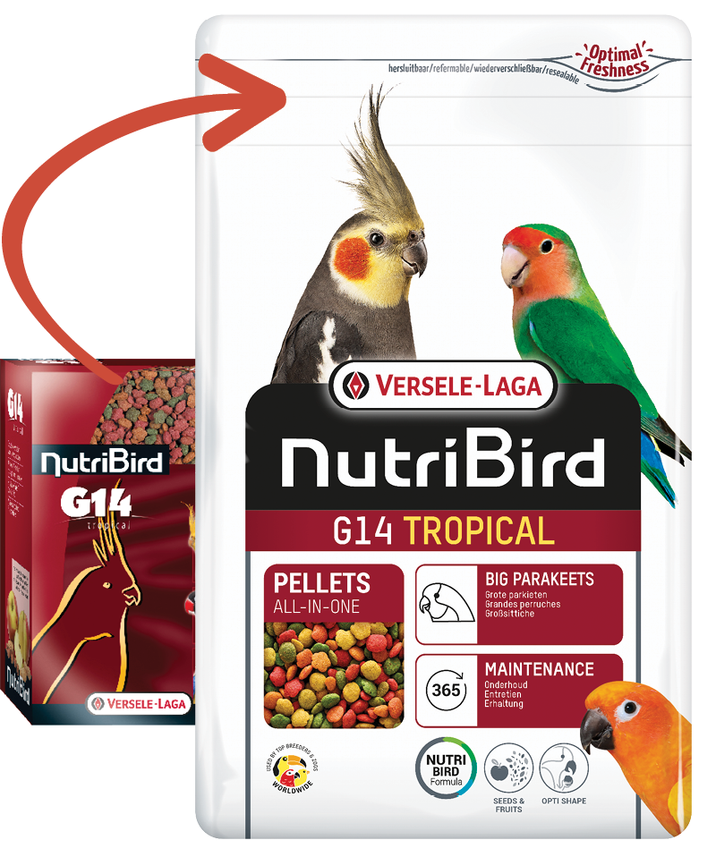 nutribird g14 tropical 1kg נוטריברד פירות ציבעוני