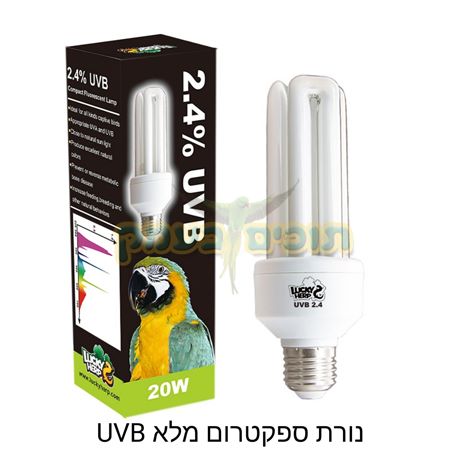 נורת ספטקרום מלא UVB