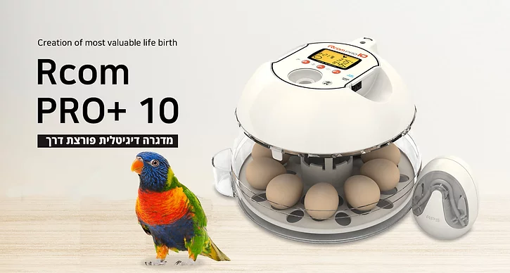 Rcom pro 10 plus - מדגרת בעלי כנף – תמונה 8