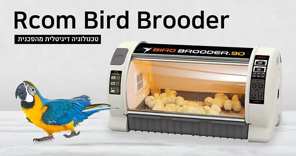 אומנת לתוכים בעלי כנף - Rcom Bird Brooder 90 (BL500 ) – תמונה 3