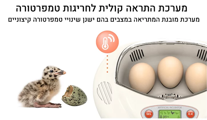 Rcom mini pro - מדגרת בעלי כנף – תמונה 6