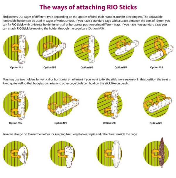 ריו, חטיף פירות יער לתוכים גדולים, 180 גרם – Rio – תמונה 2