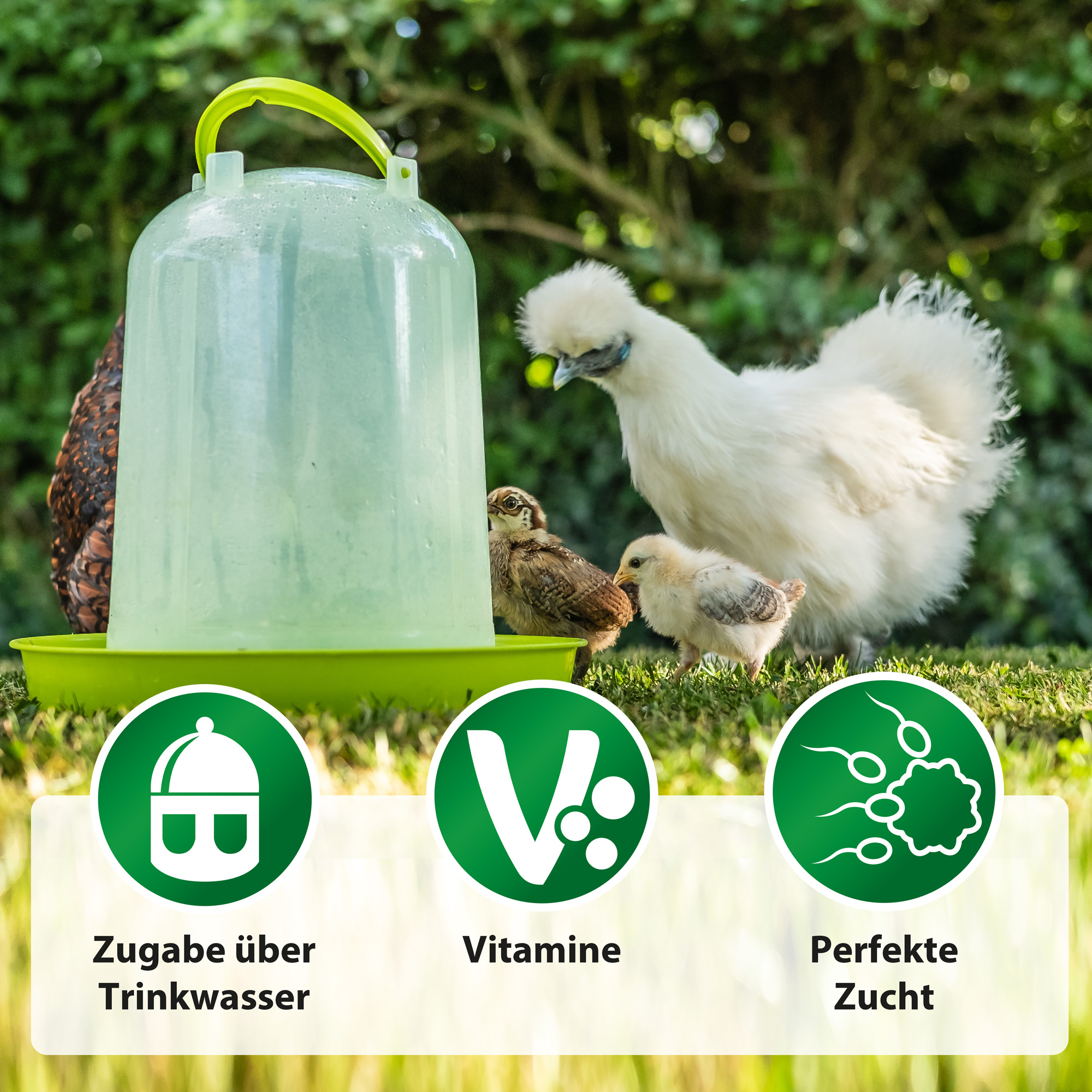 Vitamin ADEC ויטמין 1 ליטר מצוין למערכת החיסון וצמיחה תקינה – תמונה 3
