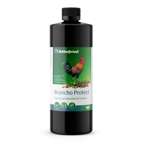 Broncho הזנה משלימה לעופות ועוזר לטיפול בבעיות במערכת הנשימה
