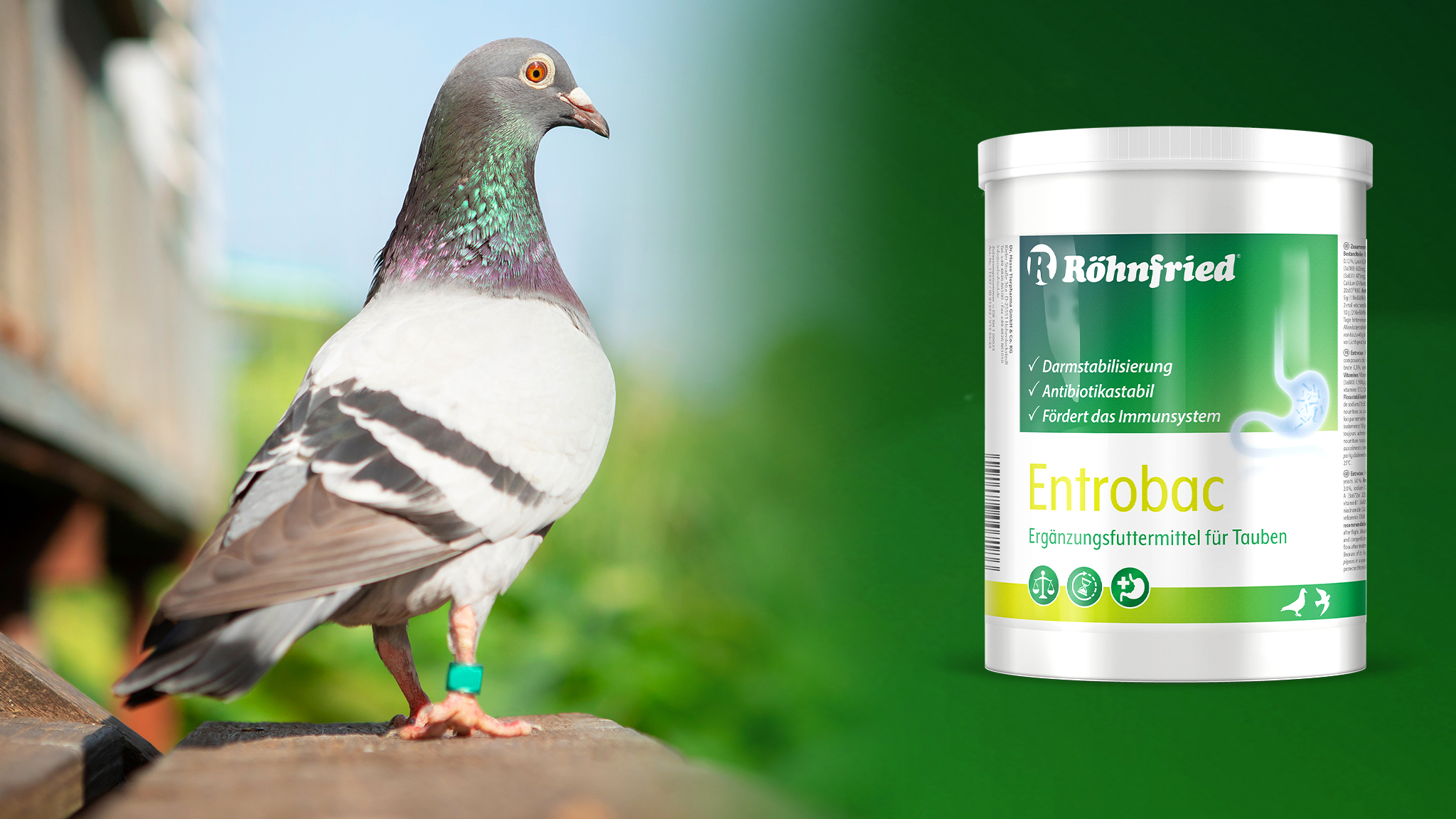 Entrobac פרוביוטיקה וחיידקים טובים למערכת העיכול 600 ג"ר – תמונה 2