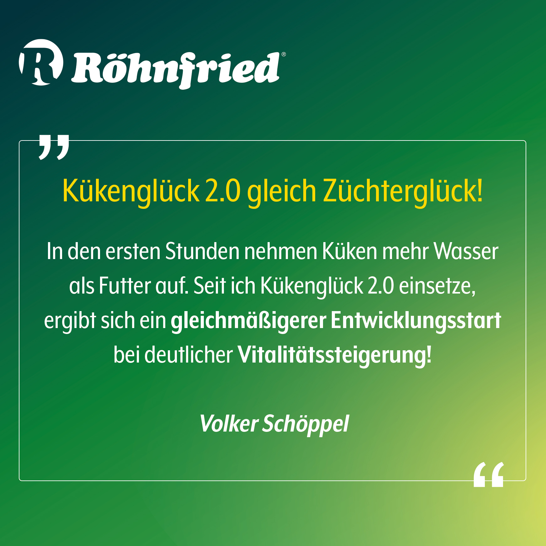 ROHNFRIED Kükenglück 2.0 תוסף לחיזוק האפרוחים והשלמת מינרלים – תמונה 6
