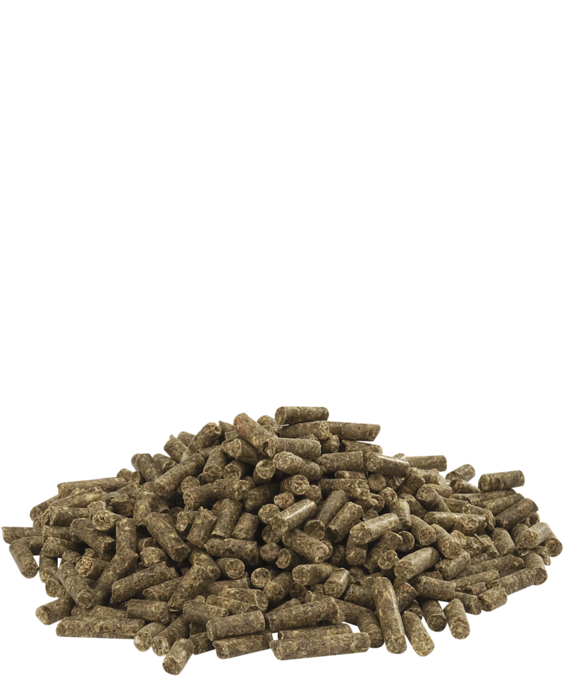 CUNI TOP PURE קוני מכרסמים 20 ק"ג – תמונה 2