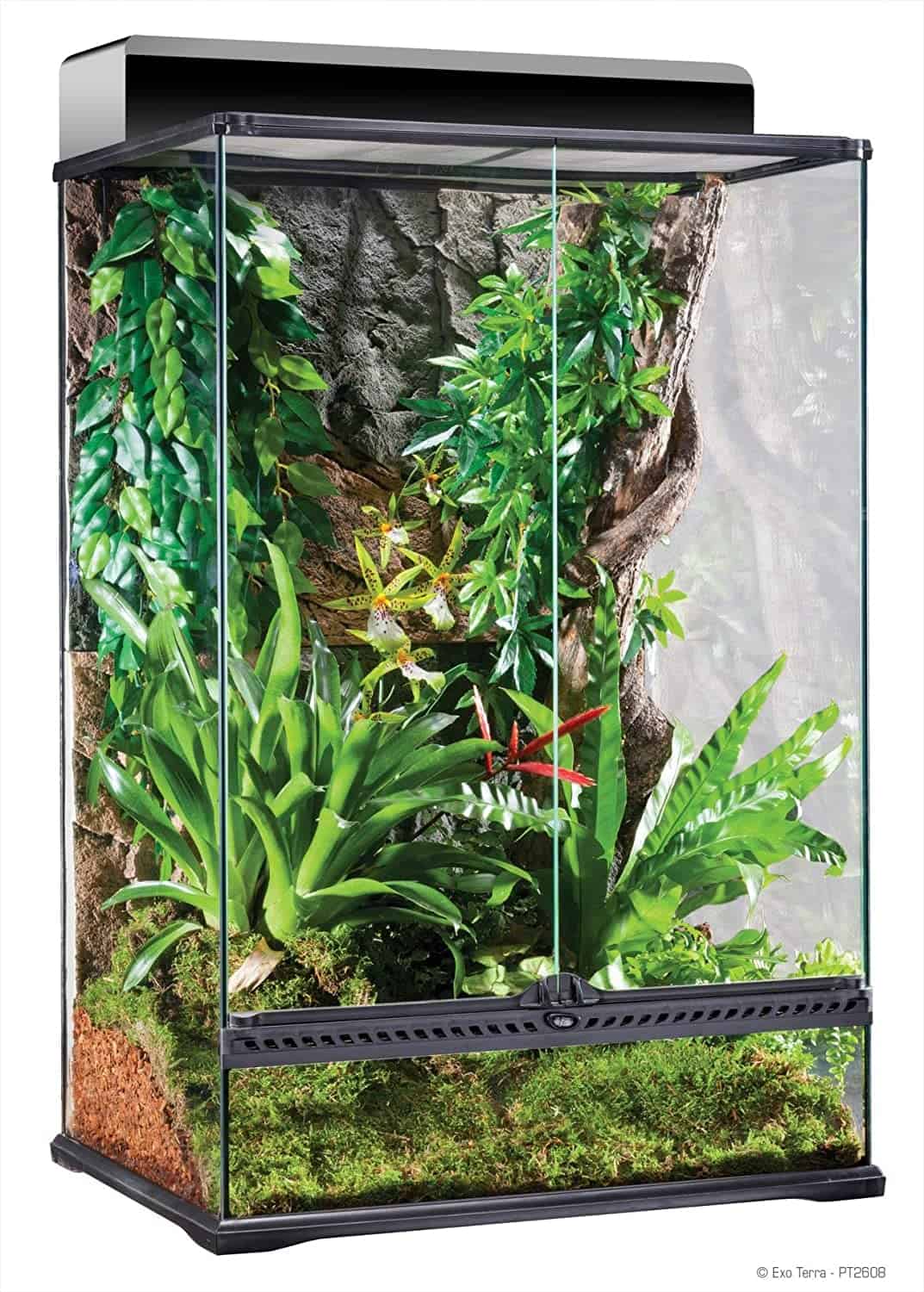 אקזוטרה טרריום טבעי בינוני גבוה 60-45-90 PT2608