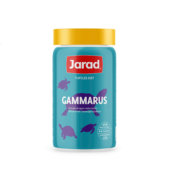 גאמרוס שרימפסים סרטנים מיובשים ג'ראד 1 ליטר GAMMARUS JARAD