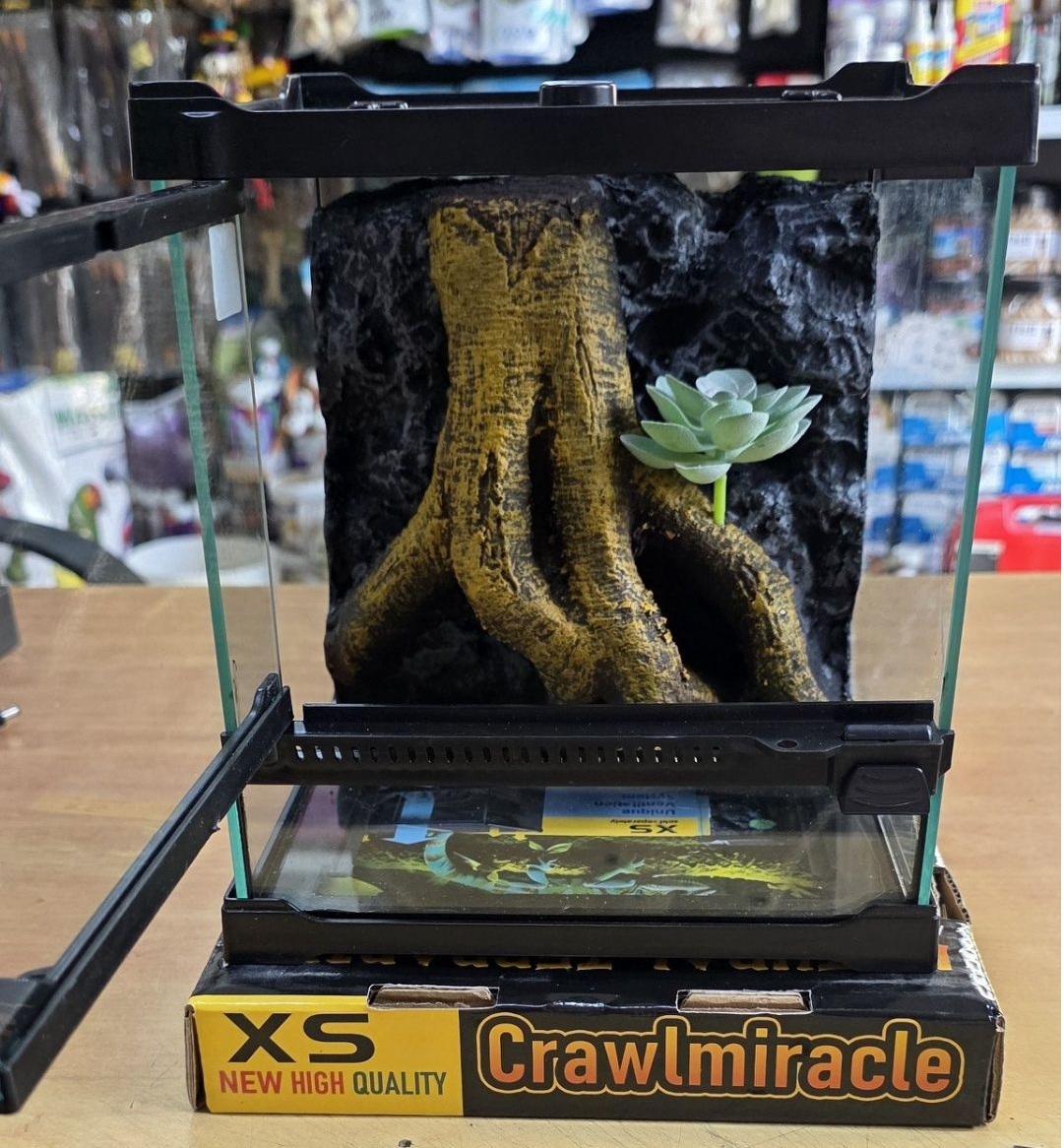 טרריום "Compact Root & Cave" – דגם נאנו בעיצוב סלעי עם מסתור מובנה 20/20/22.5 – תמונה 3