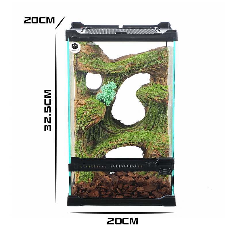 טרריום דקורטיבי "Vertical Jungle" דגם 20x20x32 – תמונה 5