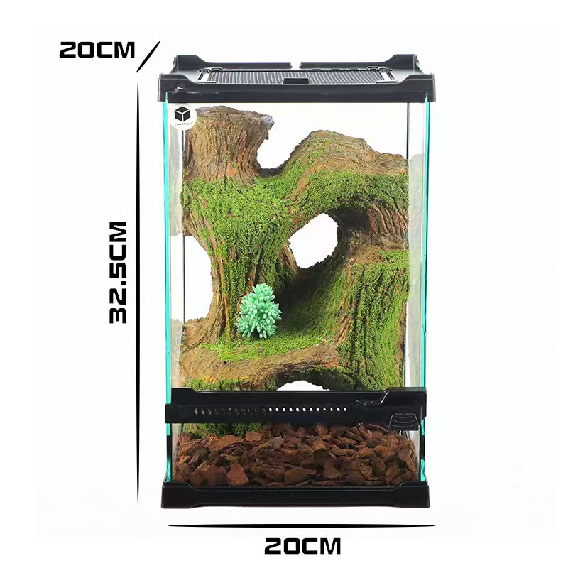 טרריום זכוכית פרימיום "Tree Hollow" דגם 20x20x32.5