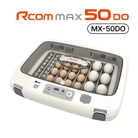 Rcom Max 50 DO מדגרה אוטומטית להדגרת תוכים וציפורים אקזוטיות
