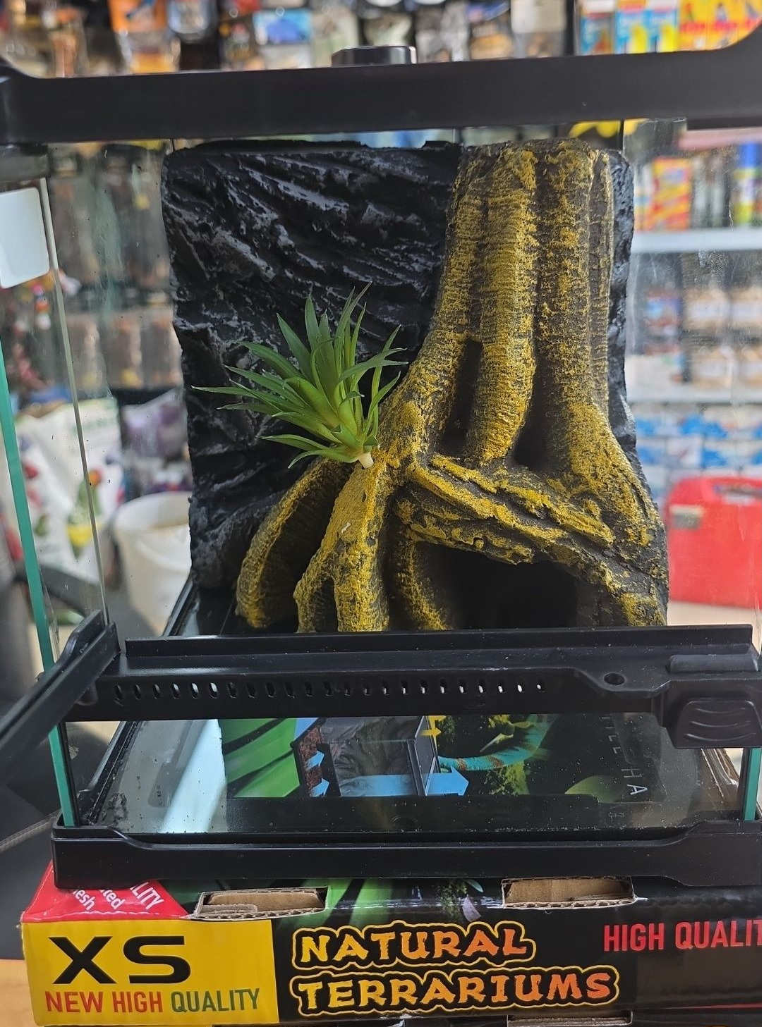 טרריום Crawlmiracle דגם XS נאנו גזע עץ סלעי עם מסתור מובנה 20/20/22.5 – תמונה 2