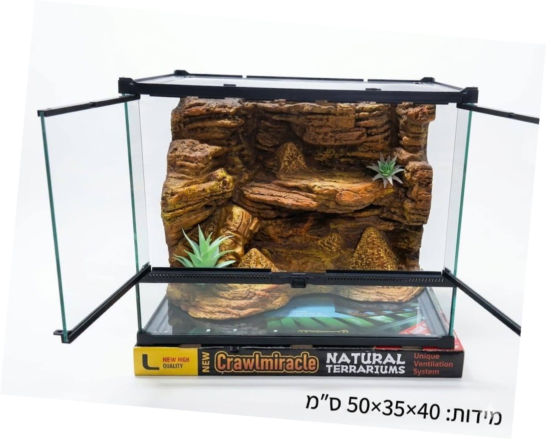 טרריום "Desert Oasis" דגם פרמידה L רוחבי 50/35/40 – תמונה 3