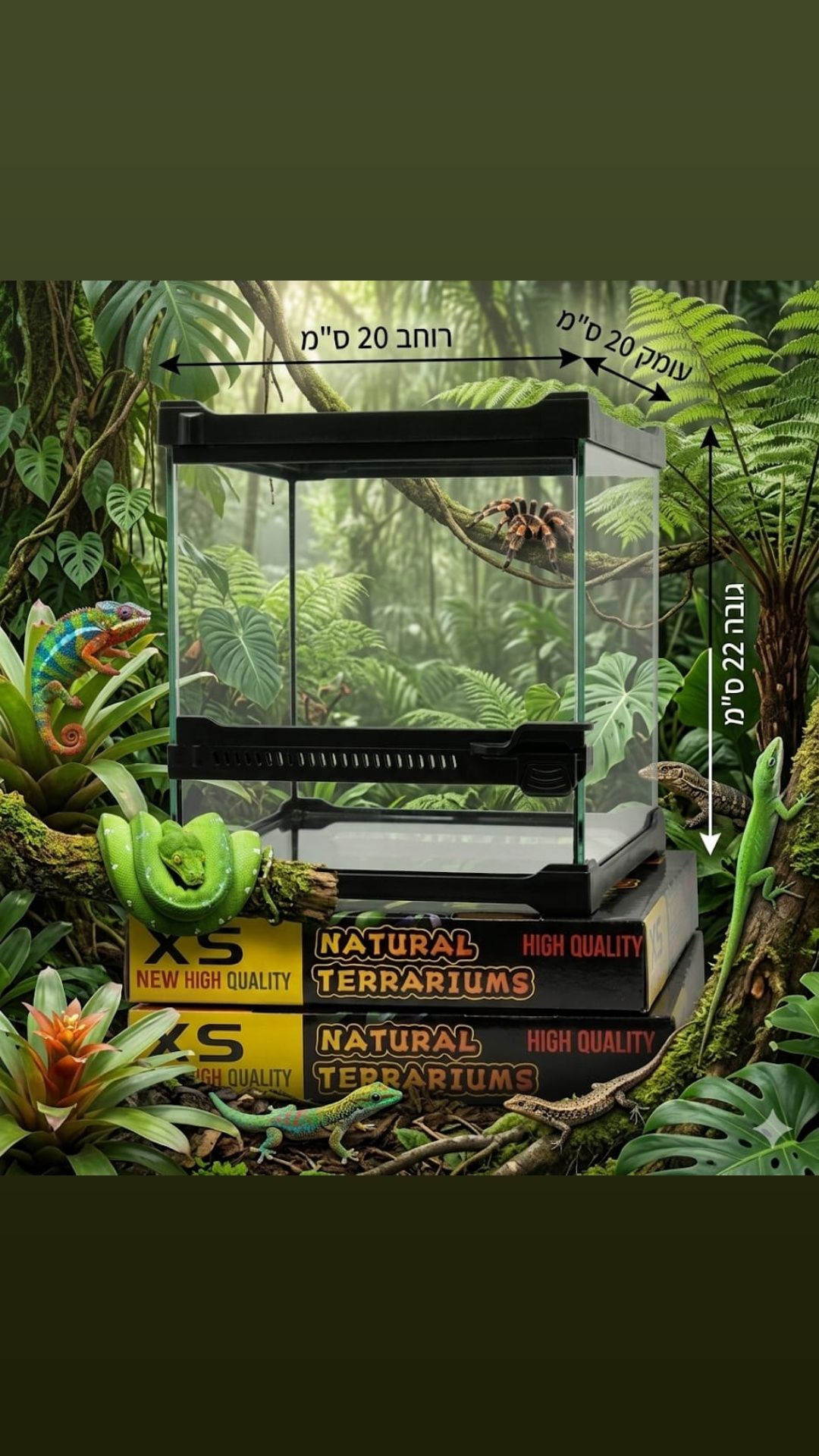 טרריום XS זכוכית מקצועי דגם Crawlmiracle ללא רקע 20/20/22 – תמונה 3